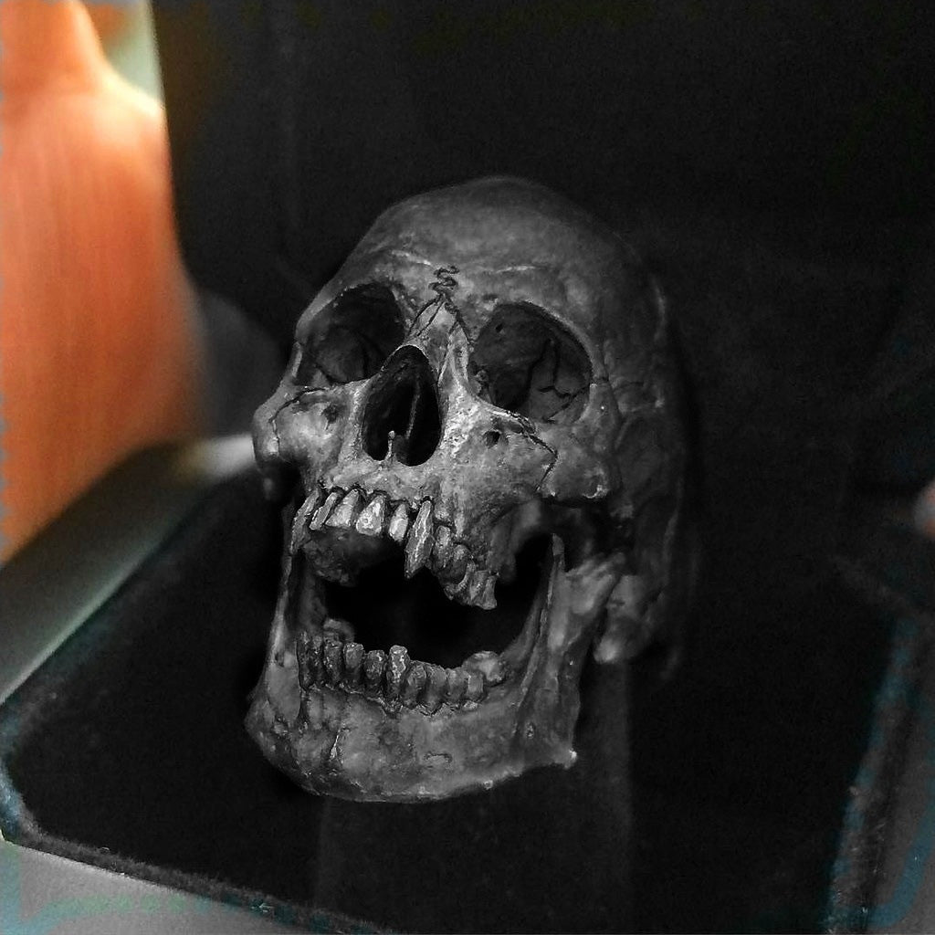 A Gothic Skull Punk Ring by Maramalive™ on a piece of wood.
