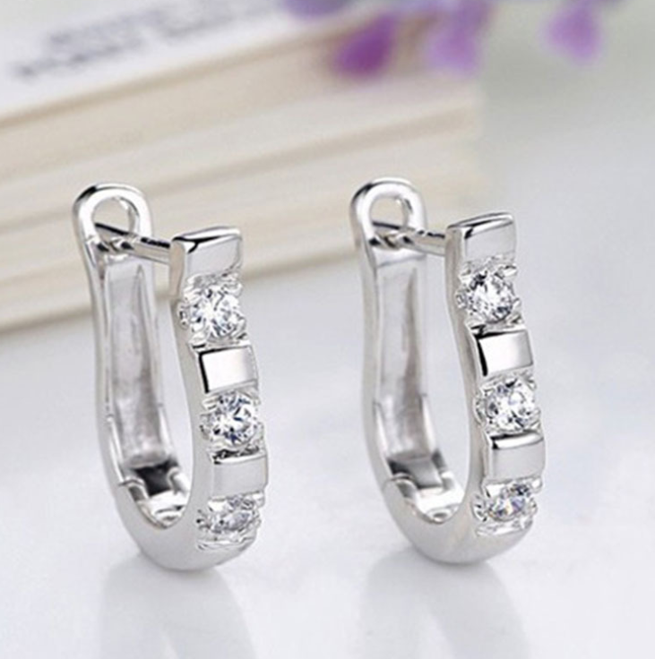 A pair of Crystal Horseshoe Earrings with cubic zirconia by Maramalive™.