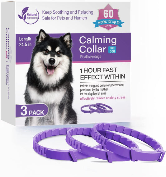 Calming Collars Relieve Anxiety in Cats & Dogs