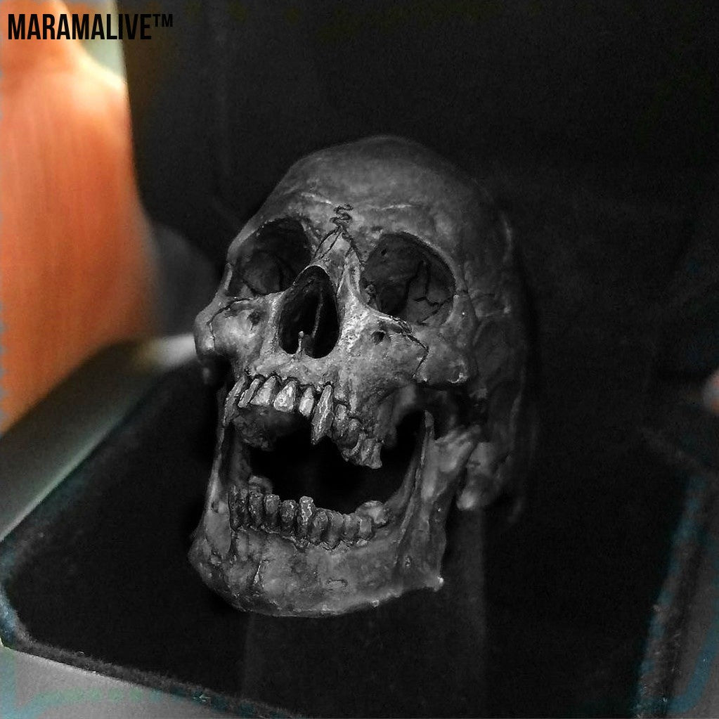 Gothic Skull Punk Ring