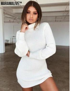 High Collar Slim Fit Long Sleeves Dress