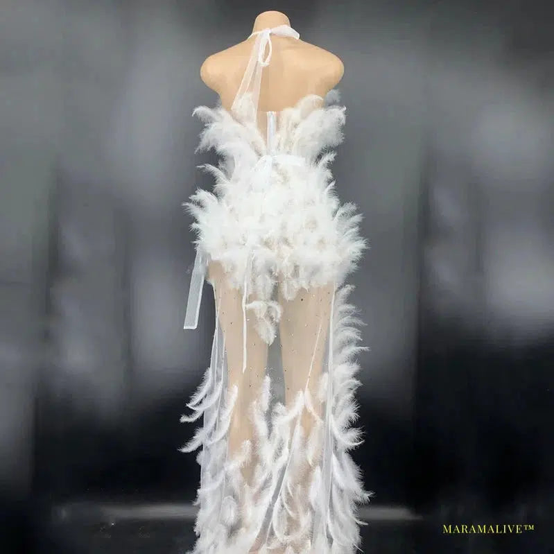 Luxury See-Through Rhinestone Feather Dress - Gothic Fashion Long Bandage Dress for Singers, Dancers, DJs, Rave & Drag Queens