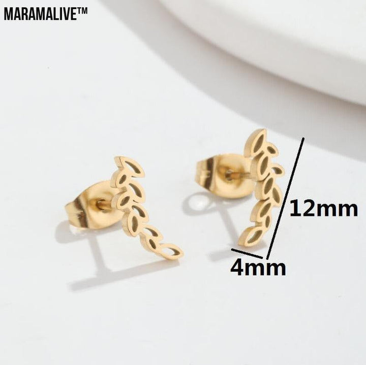 Stainless Steel Studs Simple Hollow Wheat Earrings For Women