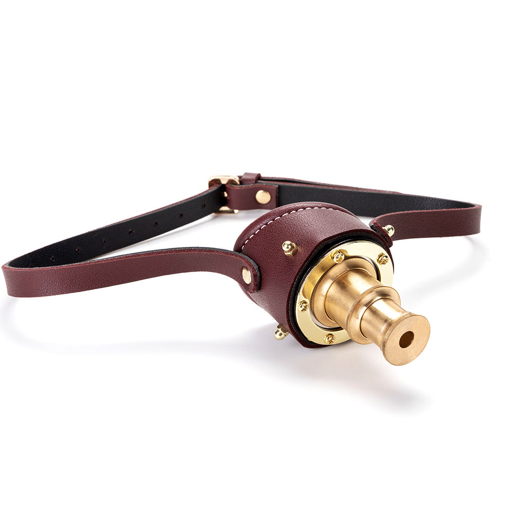 A Steampunk Retro Goggles with a gold button on it.